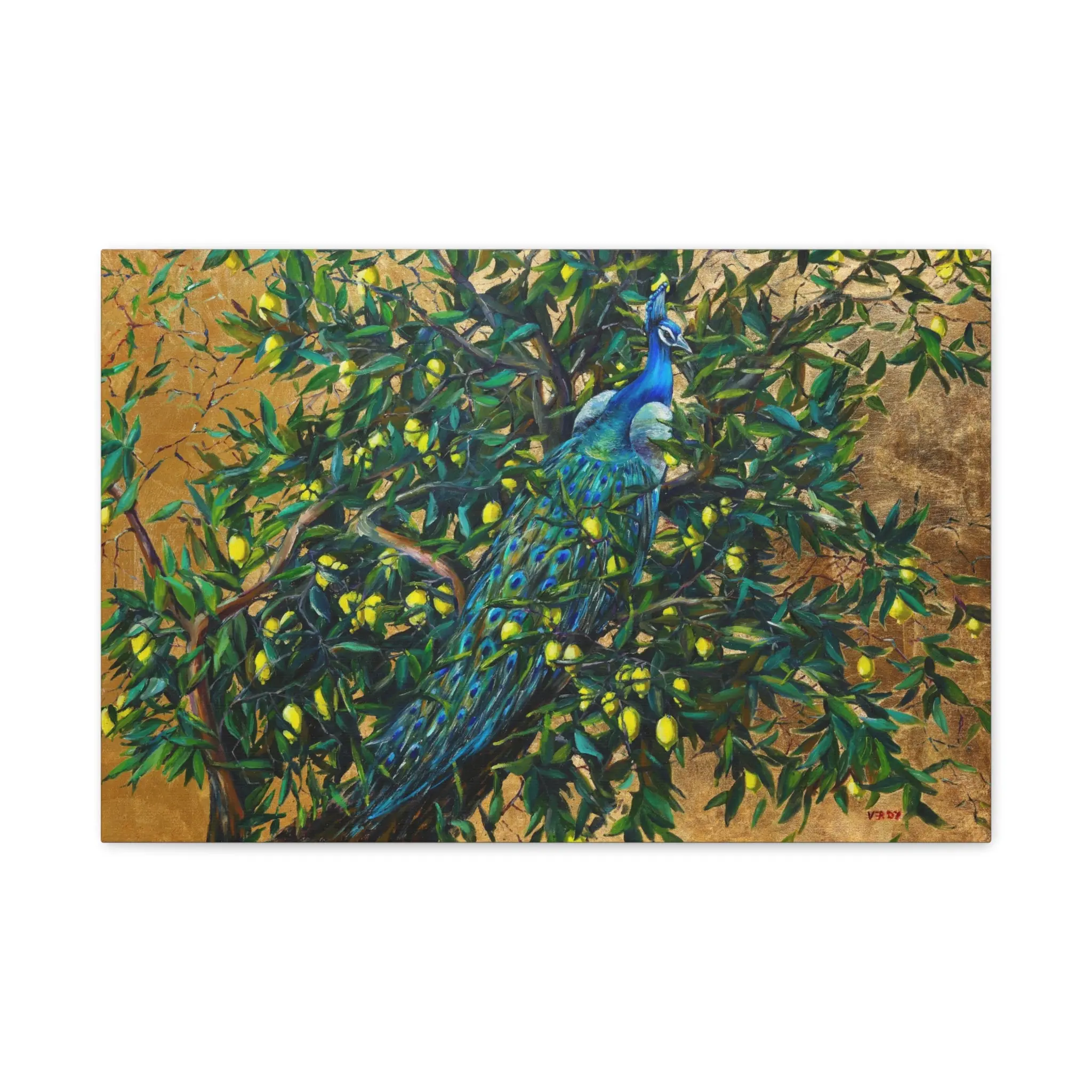 Exquisite Peacock. Painting, Print, Wall Art