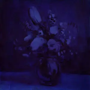 Deaf Wish - Lithium Zion  [COMPACT DISC - CD]