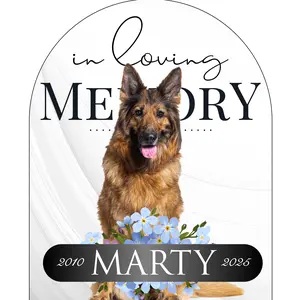 Puppy Memory Theme