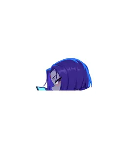 anime sticker, laptop sticker, car sticker, full sticker/8