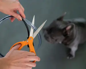 Petcords  10 ft. Dog & Cat Cord Pet Protector, Heavy Duty