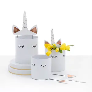 Set of 3, Unicorn Theme Round Flower Boxes | W5009