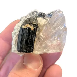 Black tourmaline chunk on Quartz crystal cluster Crystal Northern Pakistan