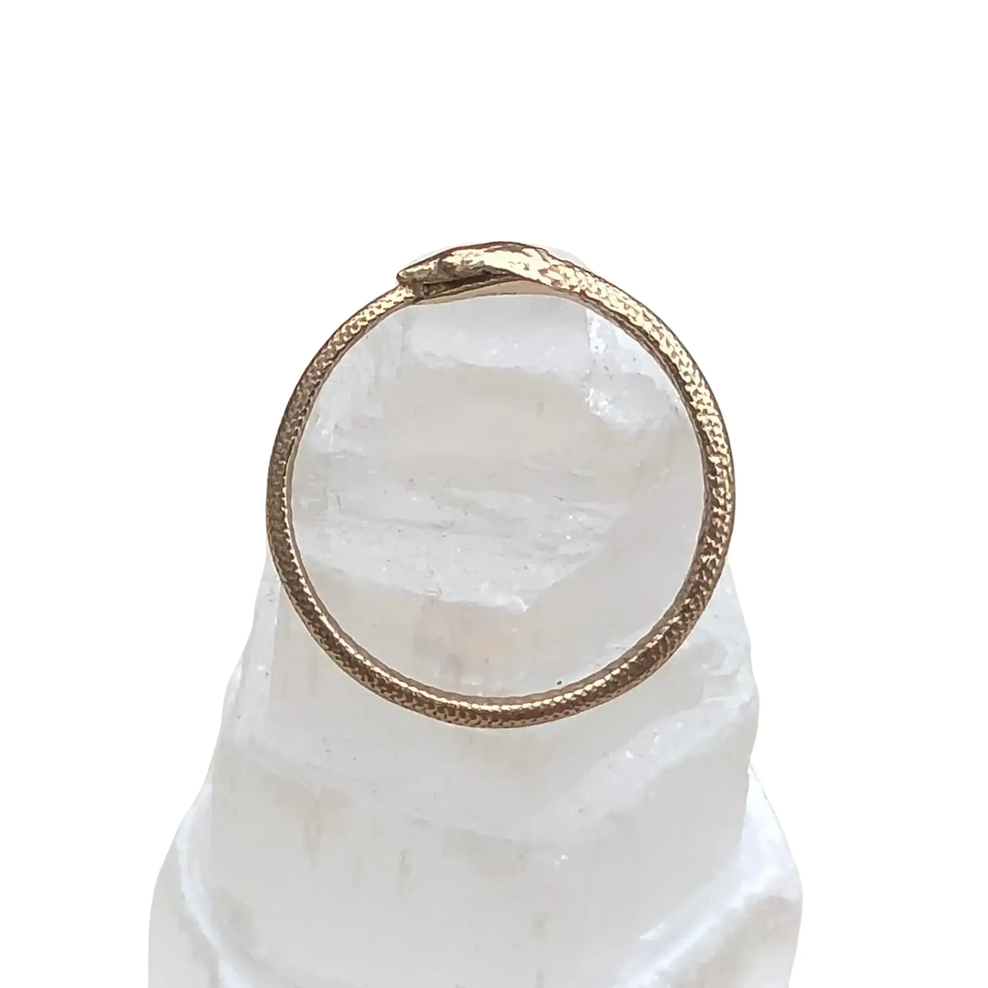Ouroboros Bronze Snake Ring - Life Divine Gold Bronze Thin Band with Detailed Infinity Serpent Symbol of Wholeness & Cyclic Nature 1/8"H