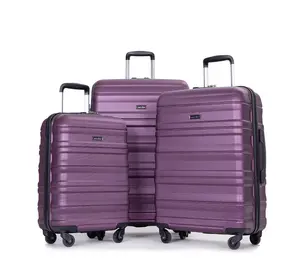 Hardside Luggage Set 3-Piece Set(21/25/29) Lightweight Suitcase 4-Wheeled Suitcase Set(Dark Purple)