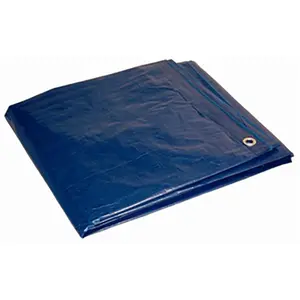 Foremost  80068 6 x 8 ft. Heavy Duty Utility Poly Tarp, Blue