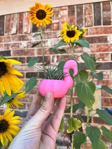 3D Printed Flamingo Succulent Planter with Drainage | Modern Indoor Home Decor Gift