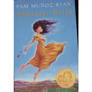 USED-Esperanza Rising, Literature Book Level 6 Unit 6 Book 2: Houghton Mifflin Journeys (Hmr Journeys/Medallions/portals 2010-12) by Hm (Paperback)