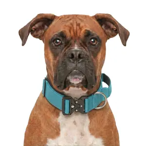 Teal Heavy Duty Dog Collar for Boxer, Vibrant Light Blue Pet Gear with Quick Release Metal Buckle, Strong Control Handle Tactical Collar for Large Breeds, No-Pull Premium Walking Equipment