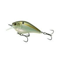 Ghost Threadfin Shad