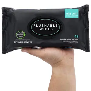 Flushable Wet Wipes Pack, 48 Large Unscented Adult Wipes with Vitamin E & Aloe Vera, Safe for Septic Systems & Sewer Lines, Biodegradable Cleansing Wipes