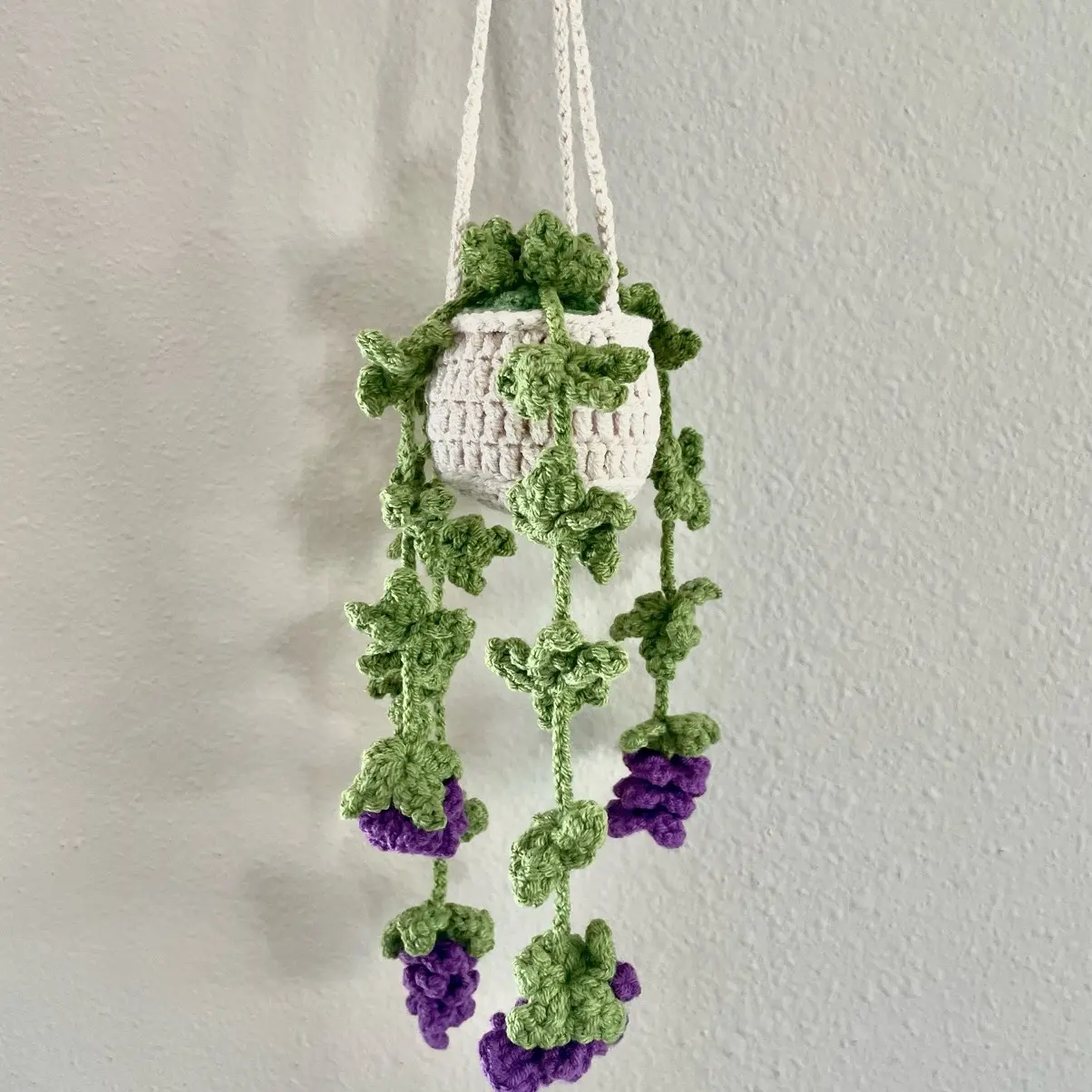 Crochet Hanging Plant