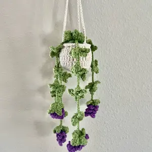 Crochet Hanging Plant