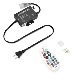 Yescom 110V LED Controller & RF Remote for Neon Rope Light RGBW