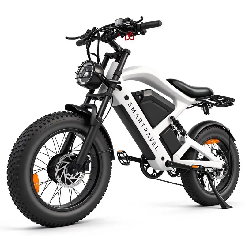 Adult Offroad Fat Tire Electric Bike, 20in Wheels, 3000W Peak Motor, 52V Battery
