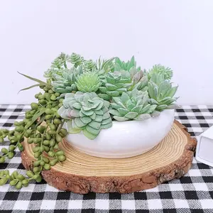 11pcs Artificial Succulent Plants(without containers) - Low-Maintenance Fake Garden Decor, Indoor/Outdoor Decoration for Home, Office, Porch, Housewarming Gift - Home Decorators