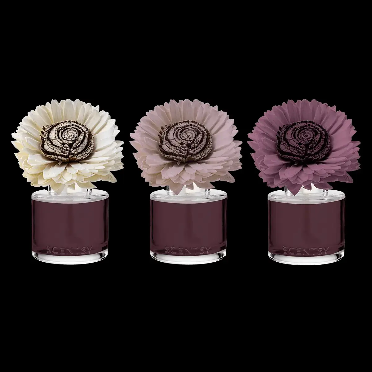 Berry Apple Shorbread-Stunning Sunflower Fragrance Flower