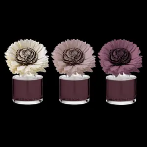 Berry Apple Shorbread-Stunning Sunflower Fragrance Flower