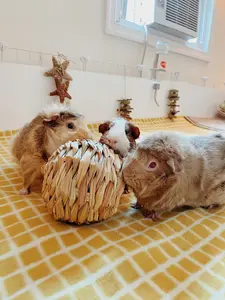 Jumbo Hay Balls Jumbo Hay Balls