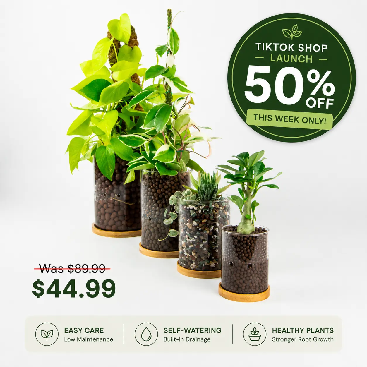 Plant Happy FULL SET 4 SIZES Hydro-Friendly Glass Planter with Side Drainage Self-Watering LECA & PON Planter in Borosilicate Glass with Wooden Base for Orchids and Succulents