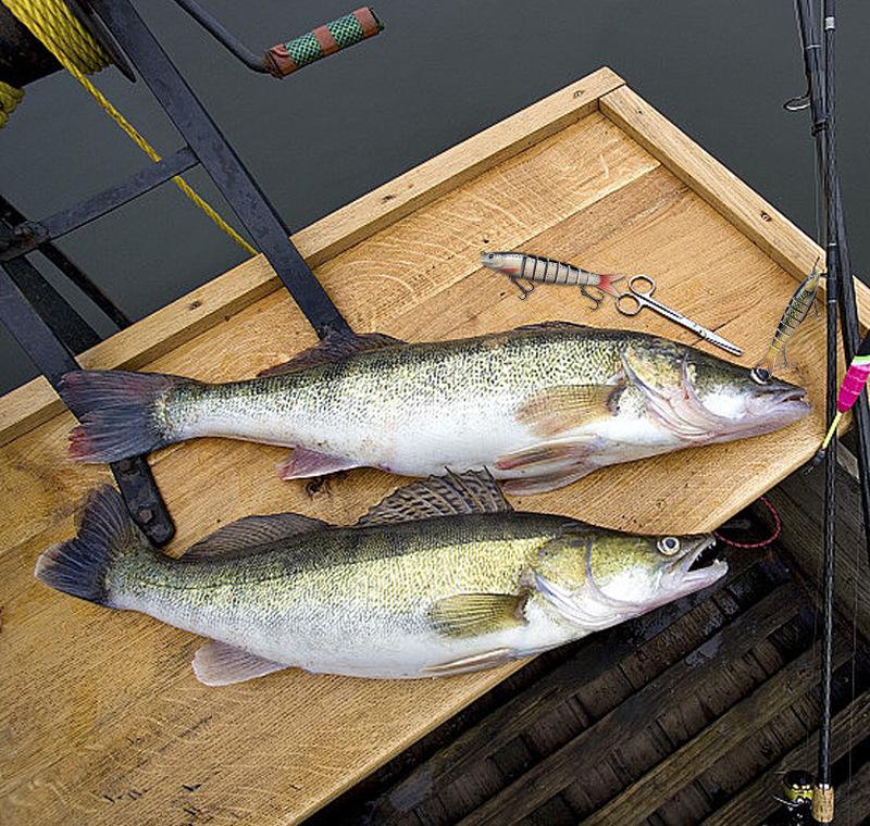 Easy Catch SwimMax Lures with BKK Hooks 3D Realistic Eyes ABS Material 6 Segments for Bass Trout Walleye Ultra Sharp Treble Hooks Lifelike Fishing Baits Easy Catch SwimMax Lures with BKK Hooks 3D Realistic Eyes ABS Material 6 Segments for Bass Trout Walleye Ultra Sharp Treble Hooks Lifelike Fishing Baits