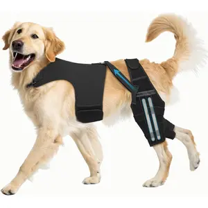 Dog Knee Brace for Hind Leg Support– Dog Leg Brace with Metal Stabilizers for Dogs with Torn ACL, Luxating Patella, Ligament Injuries & Hip Dysplasia, Limping or Osteoarthritis Recovery, XL