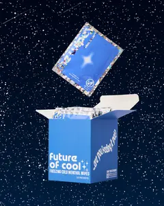 The Wipes