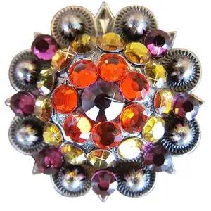 HILASON Western Screw Back Concho Fuchsia Topaz Crystal Bling Cowgirl Fuchsia, Hyacinth & Light Smoked color