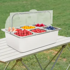 Stainless Steel & PC Ice Food Serving Display Tray with Clear Roll Top Cover - 6 Pans, Hot & Cold Serving, Ideal for Buffets and Parties