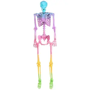 5FT Poseable Crazy Bones Skeleton in Rainbow Decoration