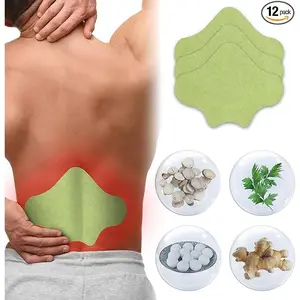 Natural Back Relief Patches - Herbal Lumbar Spine Patch for Soreness, Discomfort, Sciatica, Strain, Imbalances - 48 Pack for Men & Women - Healthcare Aid Bathroom