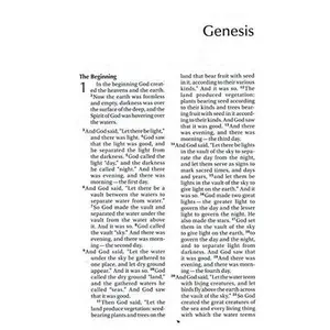 USED-The NIV Bug Collection Compact Ladybug Bible by Anonymous (Tankobon Softcover)