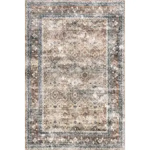 Romona Medallion Machine Washable Area Rug
