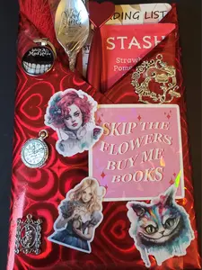 Panda's Wonderbox Adventures Book Box- A reverse Harem Retelling