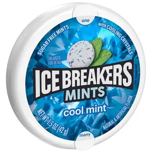 2x Ice Breakers Cool Mint Chewing Gum Tin - Fresh Breath Mints Sugar Free Snack Candy for On-the-Go 1.5oz