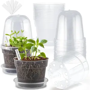 6 Inch Clear  Pots with Humidity Domes 15 Pack, Transparent Plastic  Pot with Drainage Holes and Saucers, Seed Starter Pots with 15 count  Labels and 15 count Soil Screens