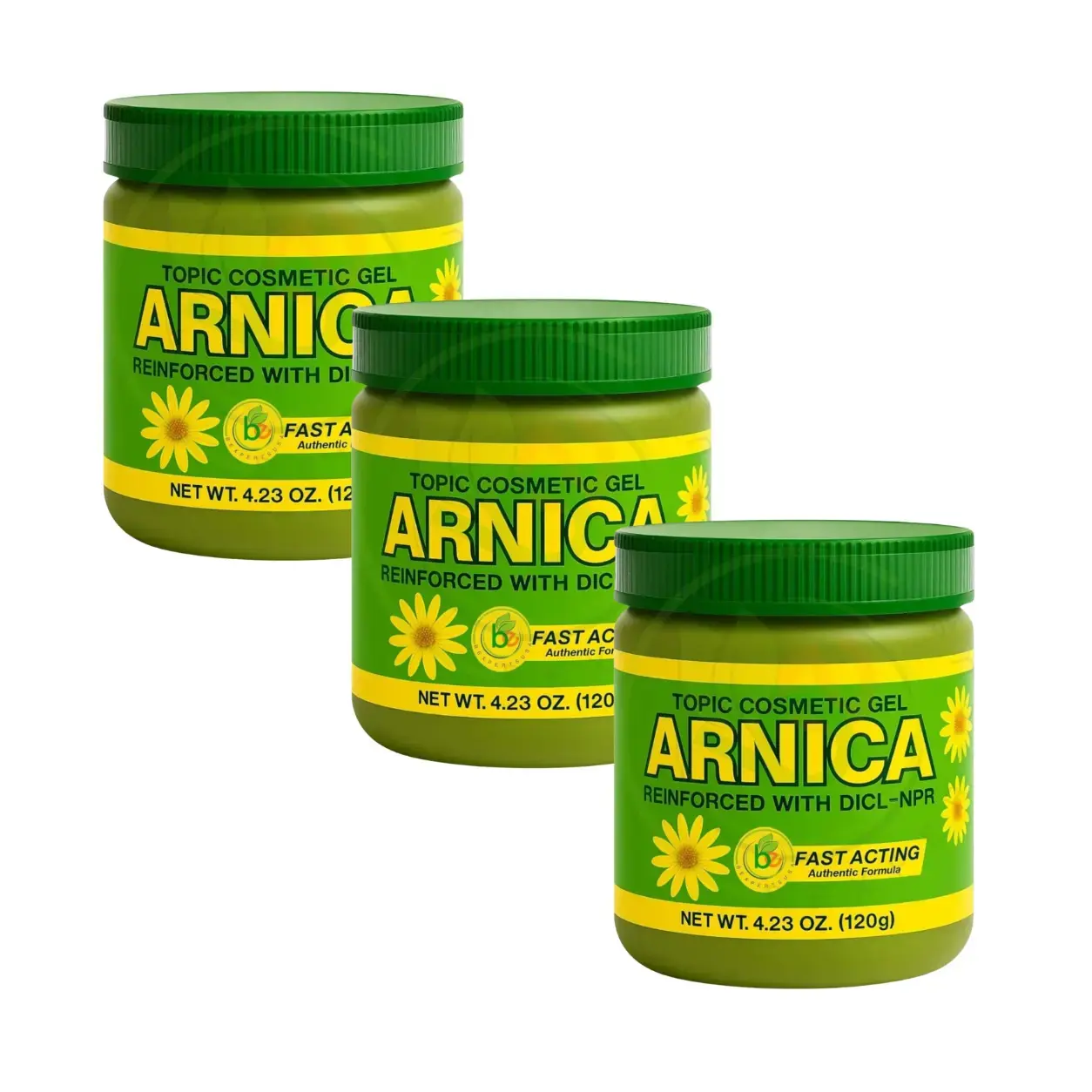 Arnica Herbal Body Massage Gel – Value 3-Pack (4.23 oz / 120g Each) – Botanical Hydrating Body Gel for Daily Skin Care