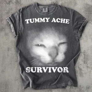 Tummy Ache Survivor Cat T-shirt, Funny Shirt, Cats Lover Gift, Graphic Tee, Unhinged Clothes, Weird Tshirt, Meme Shirts, Comfort Colors