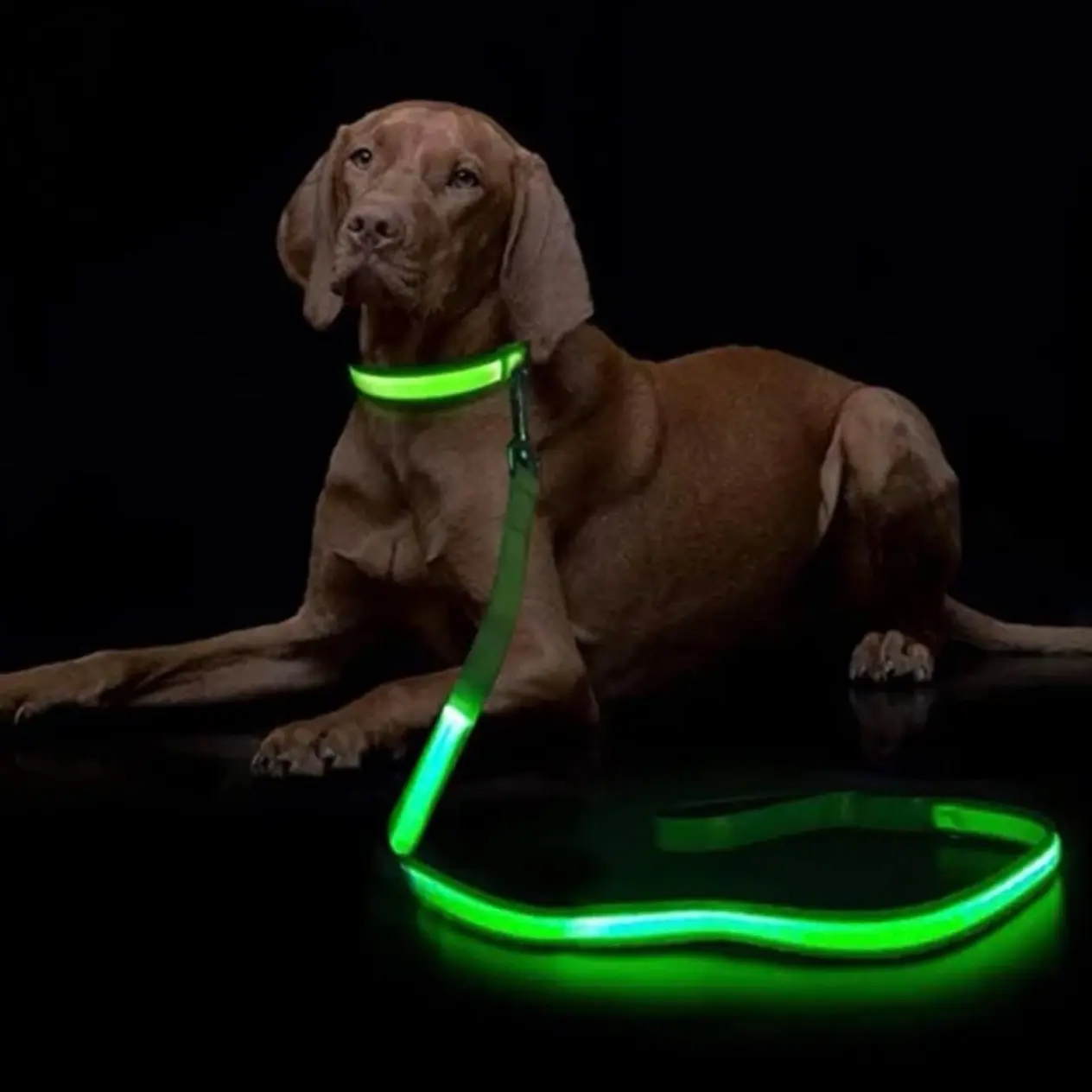 Led Adjustable Light up Dog Leash Led Adjustable Light up Dog Leash