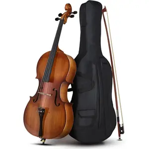 Full-Size Acoustic Cello Set with Portable Bag, Bow, Rosin, Bridge, Adults & Kids String Musical Instrument