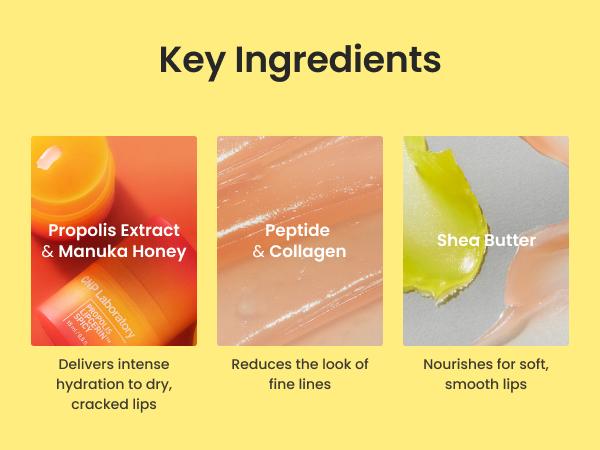 Honey Lip Butter SET (Honey, Fruity, Mojito, Spicy), Propolis Lipcerin, Hydrating, Gentle Exfoliation, Deep Nourish, Revitalizing Dry Lips, Shea Butter (0.5 fl.oz / 15ml*4) Korean Skincare, Comfort Lipcare, Lip Balm