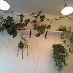 Product Review of Dvc Camera, Full HD 1080P Video Camcorder, 3-Inch Tft LCD Screen, 270° Rotating IPS Display, Includes Remote & 32GB Memory Card from e**