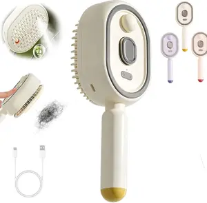 Rechargeable Warm Mist Moisturizing Detangler Brush,Cordless Self-Clean Steam Hair Comb,Gentle Scalp Massage Cushion Brush for All Hair Types, Compact Travel-Friendly DIY Home Salon Hair Care Beauty Gadget for Ladies Tool