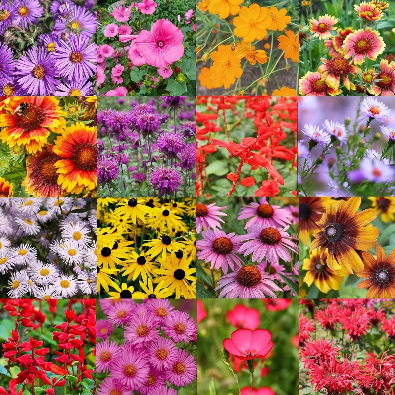 6 in planter pot 6-Pack Planting Containers for 1020 Tray