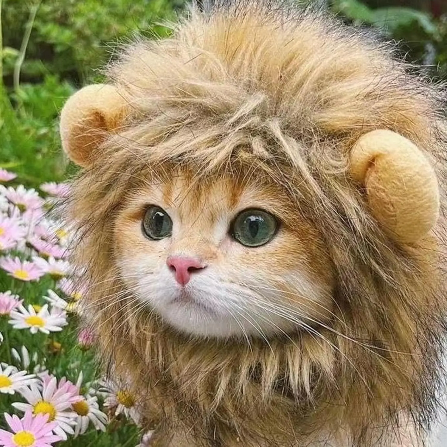 Mane for Cat Soft Comfortable Lion Mane Wig with Ears Adjustable Fit Washable Costume for Cat Birthday Cosplay Fun and Cute
