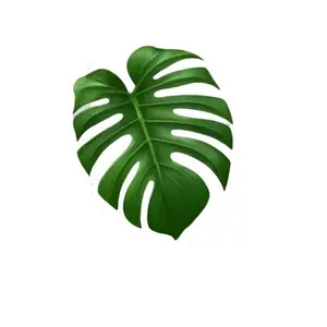 Pick your Plant for lives! 4” 6” 8” 10” home planting