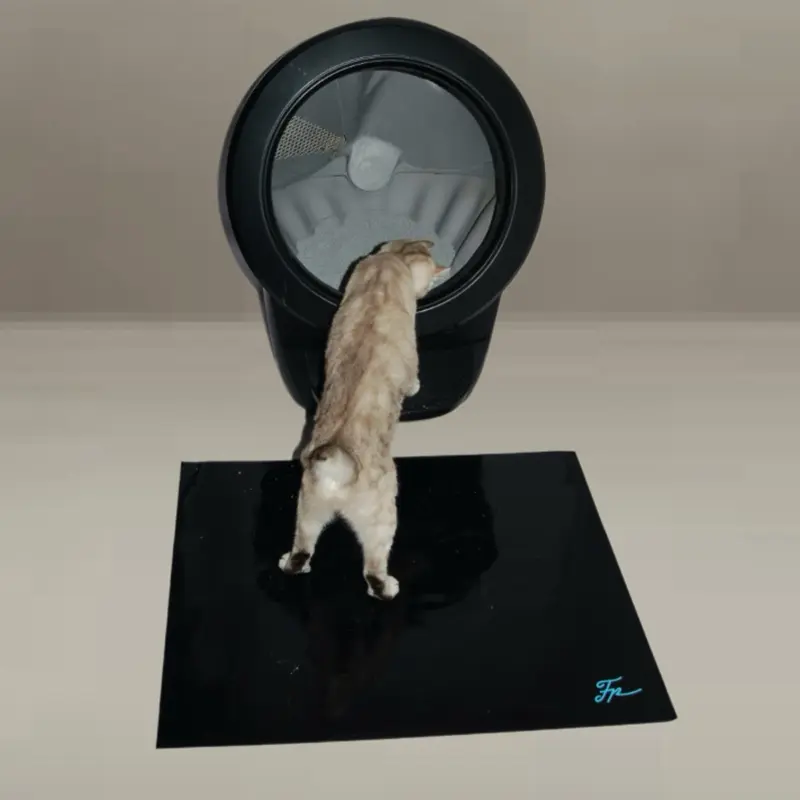 Furever Mat - Reusable sticky pet mat that collects dirt, litter, and dust