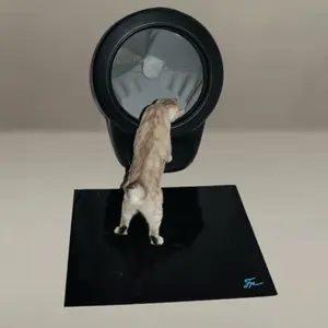 Furever Mat - Reusable sticky pet mat that collects dirt, litter, and dust