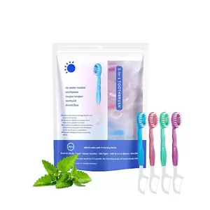 Disposable Mini Portable Toothbrush Set, Soft Bristle Toothpaste, Home Use Toothpick and Dental Floss Kit, Convenient Oral Care Essentials