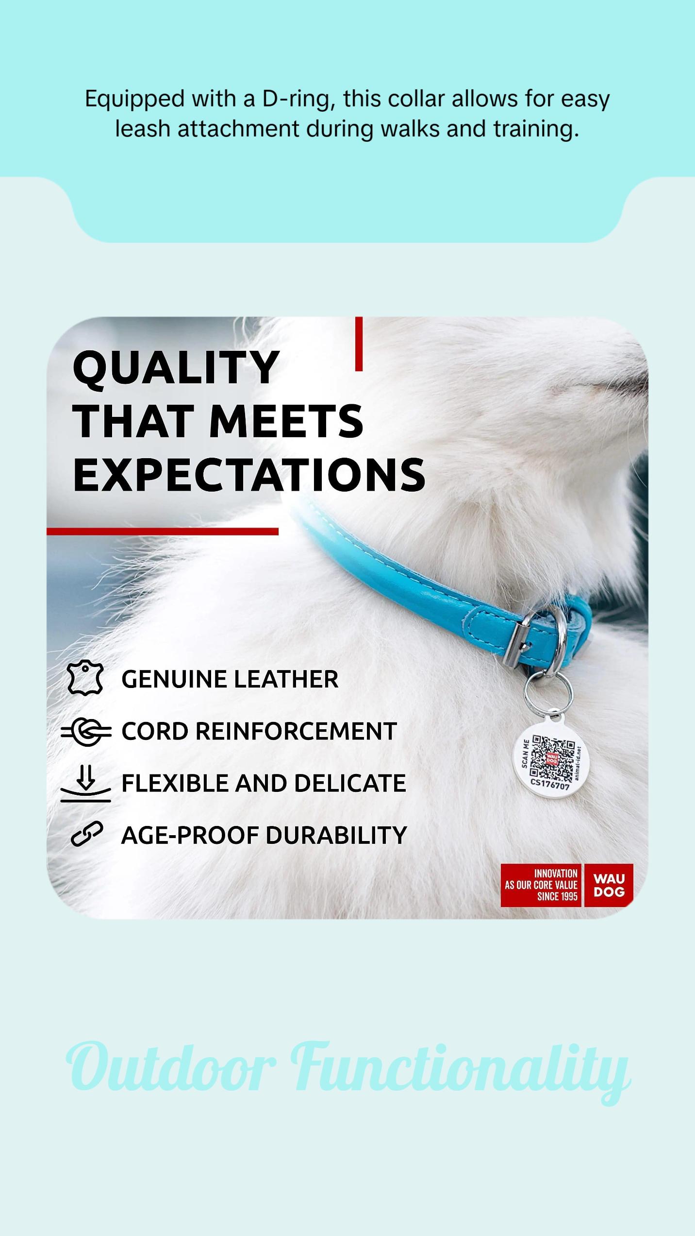 Blue Ultra Soft Rolled Leather Dog Collar for XSmall Dogs